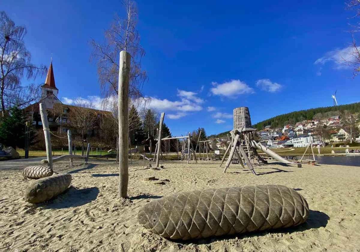 Relax-Apartment mit Indoor-Pool, Sauna, Massagesessel und Netflix Schonach im Schwarzwald Exterior foto