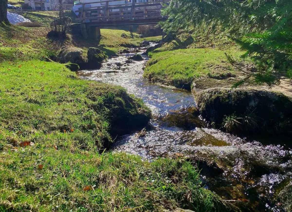 Relax-Apartment mit Indoor-Pool, Sauna, Massagesessel und Netflix Schonach im Schwarzwald Exterior foto